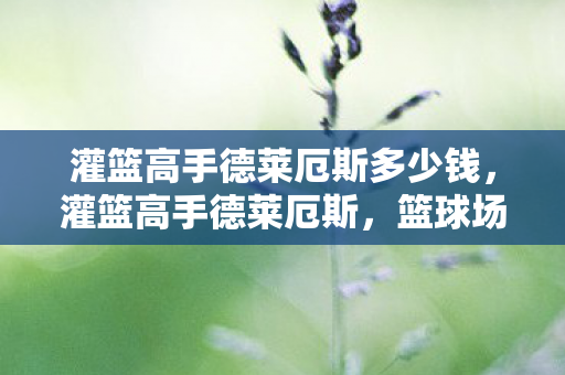 灌篮高手德莱厄斯多少钱,灌篮高手德莱厄斯,篮球场上的艺术大师 灌篮高手德莱厄斯多少钱,灌篮高手德莱厄斯,篮球场上的艺术大师