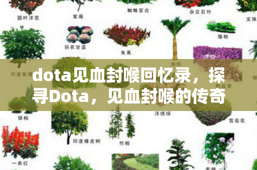 dota见血封喉回忆录,探寻Dota,见血封喉的传奇魅力 dota见血封喉回忆录,探寻Dota,见血封喉的传奇魅力