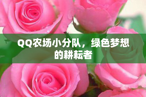 QQ农场小分队,绿色梦想的耕耘者 QQ农场小分队,绿色梦想的耕耘者