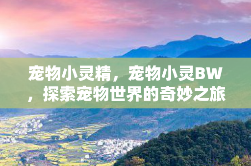 宠物小灵精,宠物小灵BW,探索宠物世界的奇妙之旅 宠物小灵精,宠物小灵BW,探索宠物世界的奇妙之旅