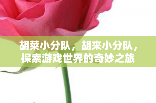胡莱小分队,胡来小分队,探索游戏世界的奇妙之旅 胡莱小分队,胡来小分队,探索游戏世界的奇妙之旅
