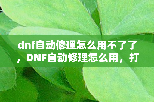 dnf自动修理怎么用不了了，DNF自动修理怎么用，打造无忧游戏环境