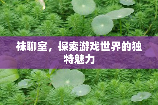 袜聊室,探索游戏世界的独特魅力 袜聊室,探索游戏世界的独特魅力