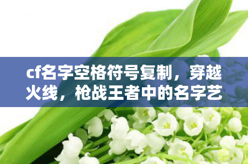 cf名字空格符号复制,穿越火线,枪战王者中的名字艺术 cf名字空格符号复制,穿越火线,枪战王者中的名字艺术