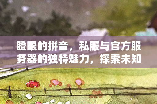 瞪眼的拼音,私服与官方服务器的独特魅力,探索未知的游戏世界 瞪眼的拼音,私服与官方服务器的独特魅力,探索未知的游戏世界