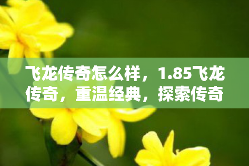 飞龙传奇怎么样,1.85飞龙传奇,重温经典,探索传奇世界的无限可能 飞龙传奇怎么样,1.85飞龙传奇,重温经典,探索传奇世界的无限可能