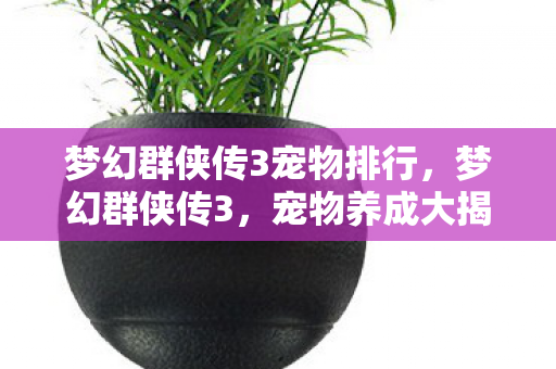 梦幻群侠传3宠物排行,梦幻群侠传3,宠物养成大揭秘 梦幻群侠传3宠物排行,梦幻群侠传3,宠物养成大揭秘
