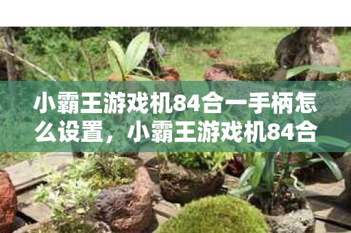 小霸王游戏机84合一手柄怎么设置,小霸王游戏机84合一,经典回忆与游戏盛宴的碰撞 小霸王游戏机84合一手柄怎么设置,小霸王游戏机84合一,经典回忆与游戏盛宴的碰撞