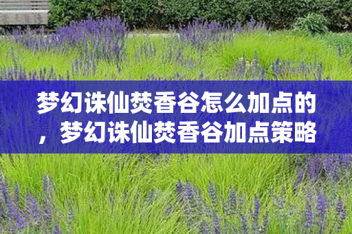 梦幻诛仙焚香谷怎么加点的,梦幻诛仙焚香谷加点策略 梦幻诛仙焚香谷怎么加点的,梦幻诛仙焚香谷加点策略