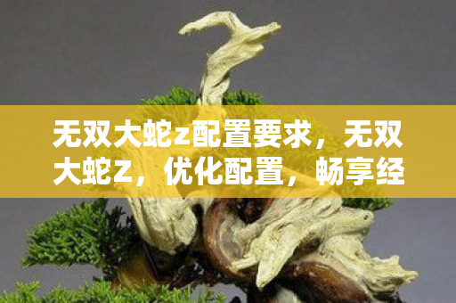 无双大蛇z配置要求,无双大蛇Z,优化配置,畅享经典战棋魅力 无双大蛇z配置要求,无双大蛇Z,优化配置,畅享经典战棋魅力