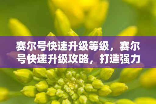 赛尔号快速升级等级,赛尔号快速升级攻略,打造强力精灵的秘诀 赛尔号快速升级等级,赛尔号快速升级攻略,打造强力精灵的秘诀