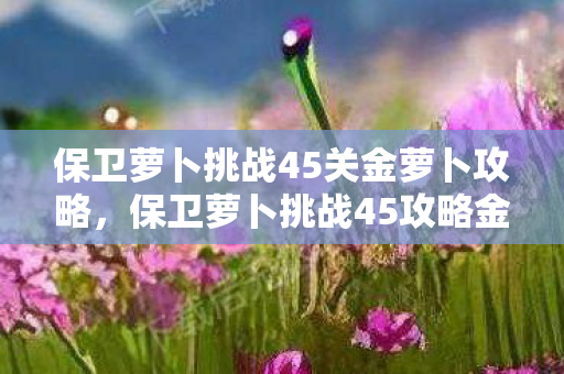 保卫萝卜挑战45关金萝卜攻略,保卫萝卜挑战45攻略金萝卜布阵图 保卫萝卜挑战45关金萝卜攻略,保卫萝卜挑战45攻略金萝卜布阵图