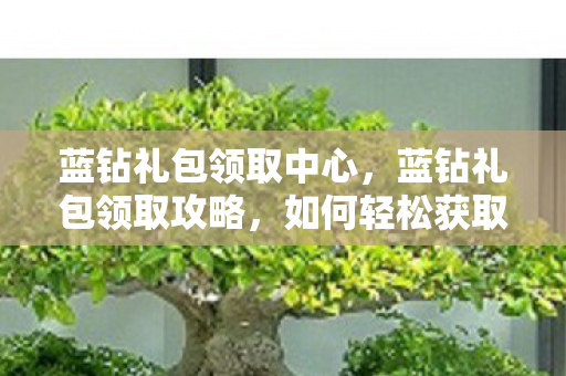 蓝钻礼包领取中心,蓝钻礼包领取攻略,如何轻松获取丰厚奖励? 蓝钻礼包领取中心,蓝钻礼包领取攻略,如何轻松获取丰厚奖励?