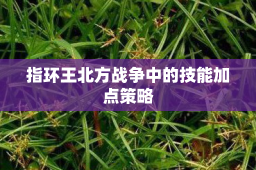 指环王北方战争中的技能加点策略 指环王北方战争中的技能加点策略