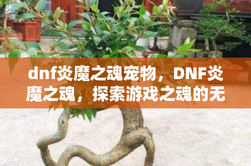 dnf炎魔之魂宠物，DNF炎魔之魂，探索游戏之魂的无限可能