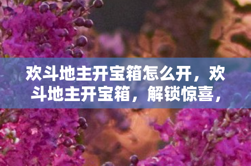 欢斗地主开宝箱怎么开，欢斗地主开宝箱，解锁惊喜，畅享无限可能！