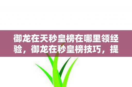 御龙在天秒皇榜在哪里领经验,御龙在秒皇榜技巧,提升战力与排名的策略 御龙在天秒皇榜在哪里领经验,御龙在秒皇榜技巧,提升战力与排名的策略
