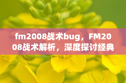 fm2008战术bug，FM2008战术解析，深度探讨经典战术布局