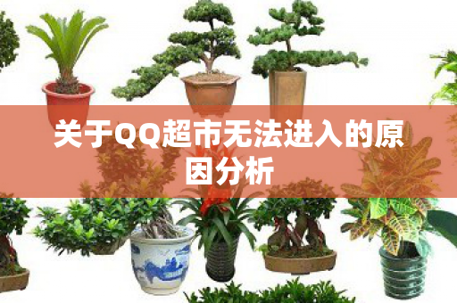 关于QQ超市无法进入的原因分析 关于QQ超市无法进入的原因分析