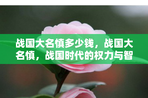 战国大名慎多少钱，战国大名慎，战国时代的权力与智慧