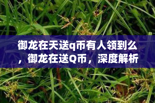 御龙在天送q币有人领到么,御龙在送Q币,深度解析游戏福利与玩家互动的新模式 御龙在天送q币有人领到么,御龙在送Q币,深度解析游戏福利与玩家互动的新模式