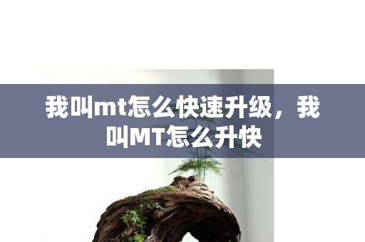 我叫mt怎么快速升级,我叫MT怎么升快 我叫mt怎么快速升级,我叫MT怎么升快