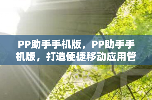 PP助手手机版,PP助手手机版,打造便捷移动应用管理新体验 PP助手手机版,PP助手手机版,打造便捷移动应用管理新体验