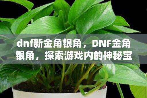 dnf新金角银角,DNF金角银角,探索游戏内的神秘宝藏与独特挑战 dnf新金角银角,DNF金角银角,探索游戏内的神秘宝藏与独特挑战