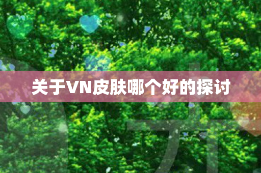 关于VN皮肤哪个好的探讨