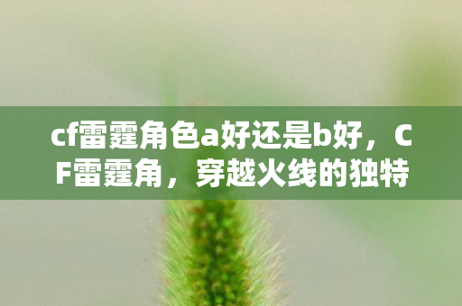cf雷霆角色a好还是b好,CF雷霆角,穿越火线的独特魅力与玩家社区 cf雷霆角色a好还是b好,CF雷霆角,穿越火线的独特魅力与玩家社区