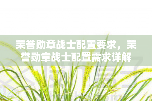 荣誉勋章战士配置要求,荣誉勋章战士配置需求详解 荣誉勋章战士配置要求,荣誉勋章战士配置需求详解