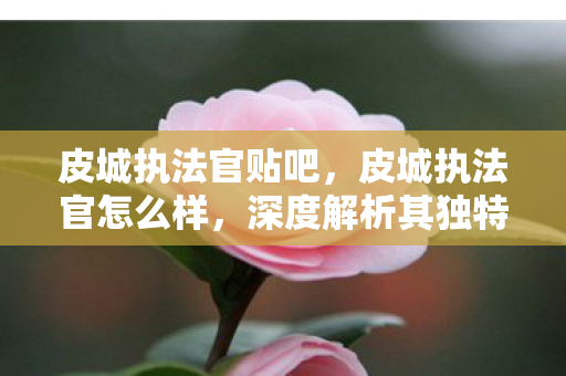 皮城执法官贴吧,皮城执法官怎么样,深度解析其独特魅力与玩法 皮城执法官贴吧,皮城执法官怎么样,深度解析其独特魅力与玩法
