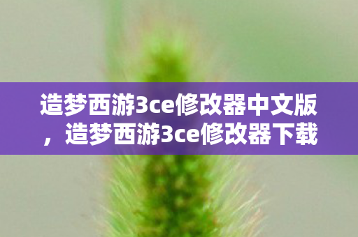 造梦西游3ce修改器中文版，造梦西游3ce修改器下载，解锁无限可能的冒险之旅