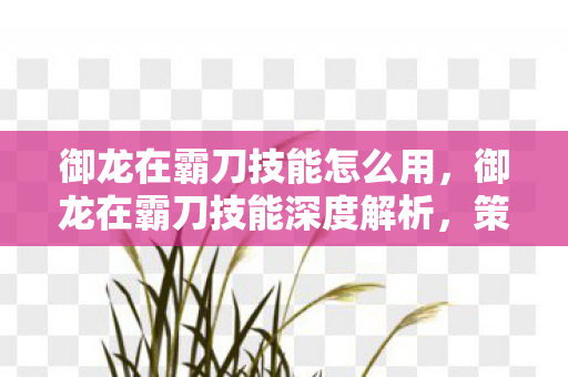 御龙在霸刀技能怎么用，御龙在霸刀技能深度解析，策略与操作的完美结合