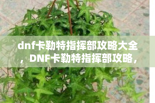dnf卡勒特指挥部攻略大全,DNF卡勒特指挥部攻略,征服挑战,解锁丰厚奖励 dnf卡勒特指挥部攻略大全,DNF卡勒特指挥部攻略,征服挑战,解锁丰厚奖励