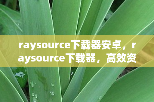 raysource下载器安卓,raysource下载器,高效资源获取的新选择 raysource下载器安卓,raysource下载器,高效资源获取的新选择