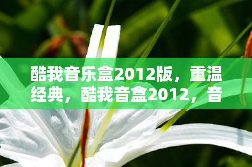 酷我音乐盒2012版，重温经典，酷我音盒2012，音乐之旅的温馨回忆