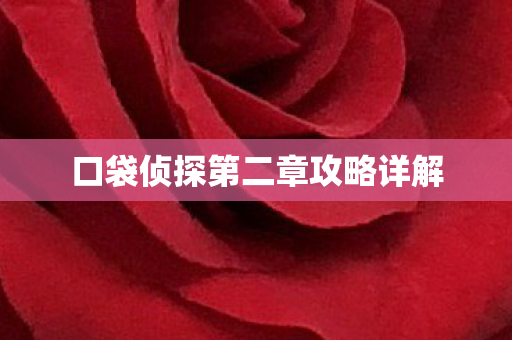 口袋侦探第二章攻略详解 口袋侦探第二章攻略详解