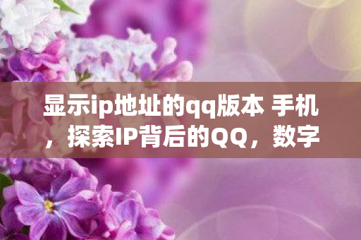 显示ip地址的qq版本 手机,探索IP背后的QQ,数字时代的隐秘联系 显示ip地址的qq版本 手机,探索IP背后的QQ,数字时代的隐秘联系
