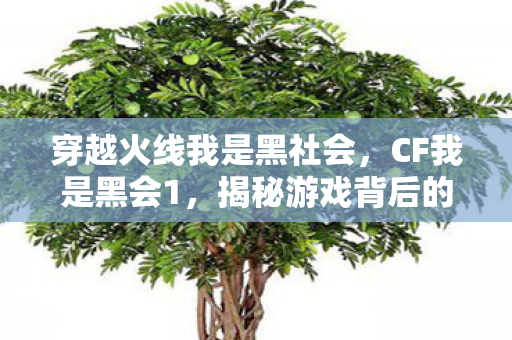 穿越火线我是黑社会，CF我是黑会1，揭秘游戏背后的神秘力量