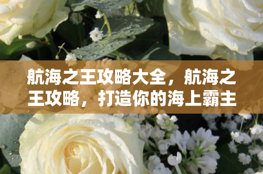 航海之王攻略大全,航海之王攻略,打造你的海上霸主之路 航海之王攻略大全,航海之王攻略,打造你的海上霸主之路