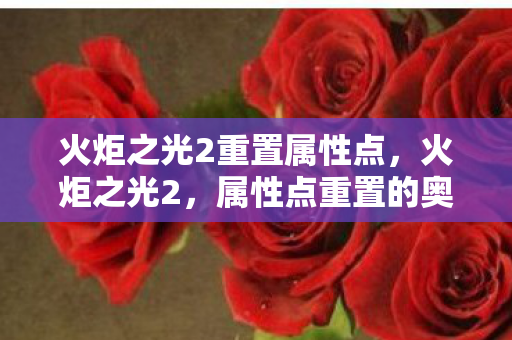 火炬之光2重置属性点,火炬之光2,属性点重置的奥秘与策略 火炬之光2重置属性点,火炬之光2,属性点重置的奥秘与策略
