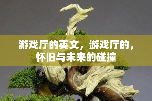 游戏厅的英文,游戏厅的,怀旧与未来的碰撞 游戏厅的英文,游戏厅的,怀旧与未来的碰撞