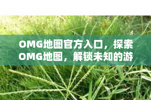 OMG地图官方入口,探索OMG地图,解锁未知的游戏世界 OMG地图官方入口,探索OMG地图,解锁未知的游戏世界