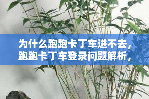 为什么跑跑卡丁车进不去图片
