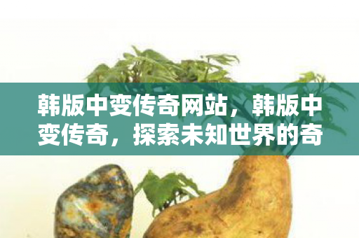 韩版中变传奇网站,韩版中变传奇,探索未知世界的奇妙之旅 韩版中变传奇网站,韩版中变传奇,探索未知世界的奇妙之旅