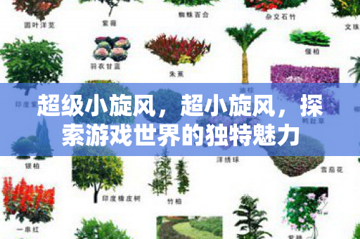 超级小旋风,超小旋风,探索游戏世界的独特魅力 超级小旋风,超小旋风,探索游戏世界的独特魅力