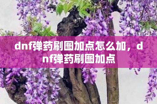 dnf弹药刷图加点怎么加,dnf弹药刷图加点 dnf弹药刷图加点怎么加,dnf弹药刷图加点