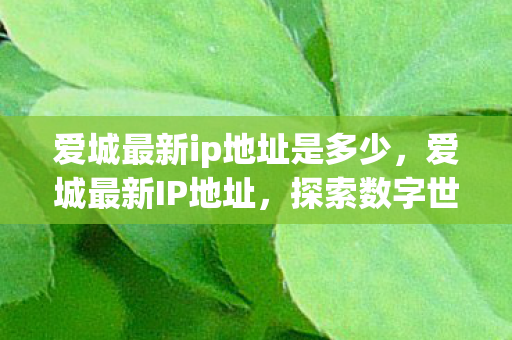 爱城最新ip地址是多少，爱城最新IP地址，探索数字世界的最新门户