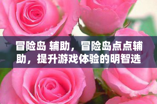冒险岛 辅助，冒险岛点点辅助，提升游戏体验的明智选择